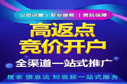 SEM代运营机构案例分析：优化策略与执行